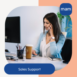 Sales Support (Értékesítést támogató munkatárs)